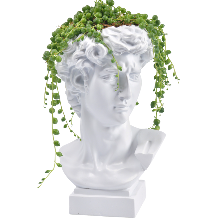 Αρχαιοελληνικό πρόσωπο λευκό με φυτό 