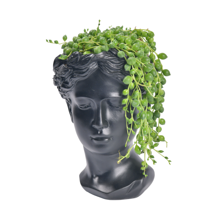 Ancient Greek face with a plant