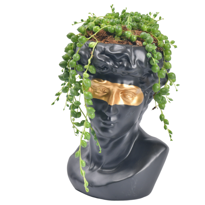 Αρχαιοελληνικό πρόσωπο με χρυσή λεπτομερεία και φυτό 