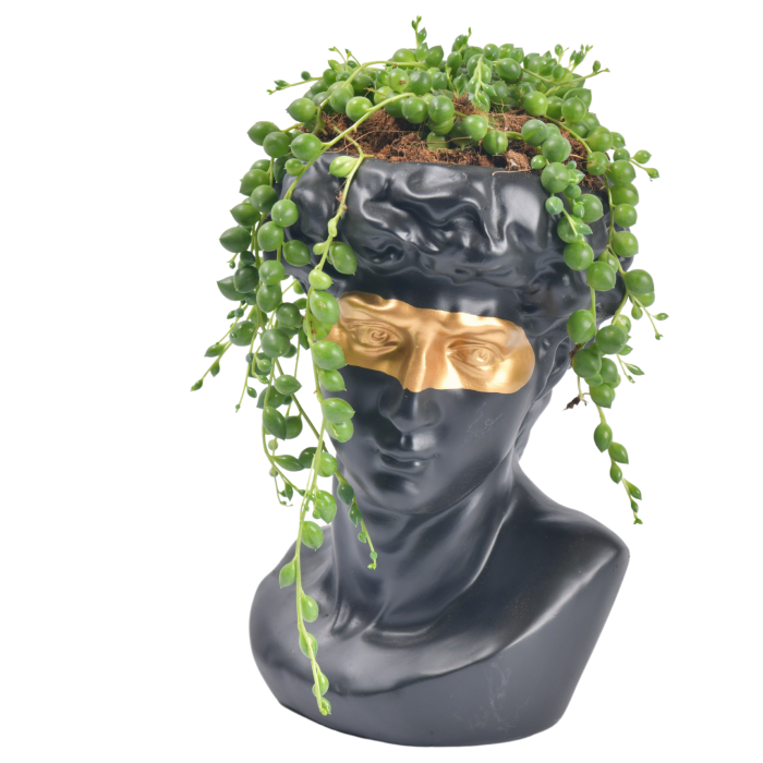 Ancient Greek face with gold details and plant